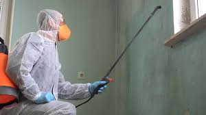 Best Emergency Mold Remediation  in Coldwater, OH