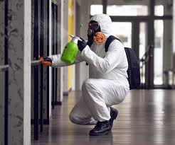 Why You Should Choose Our Mold Remediation Services in Coldwater, OH